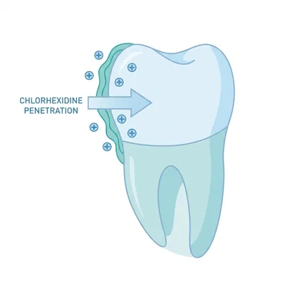 Chlorhexidine mechanism of action